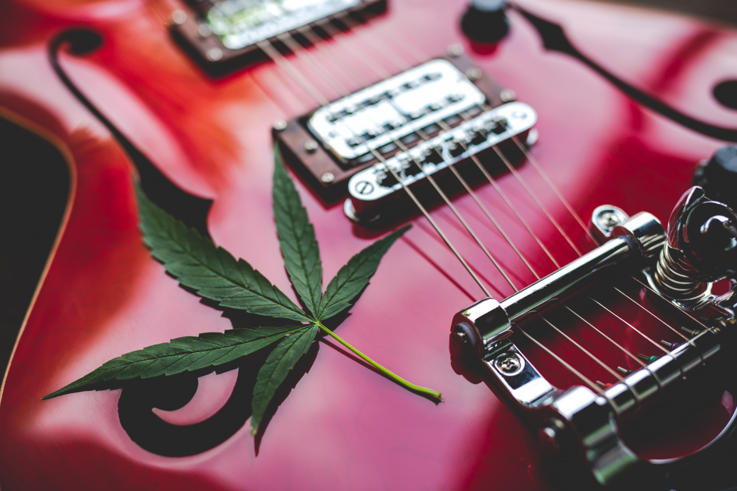 Ancient Rituals to Modern Music: Cannabis in Cultural Evolution