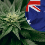 australia flag and cannabis